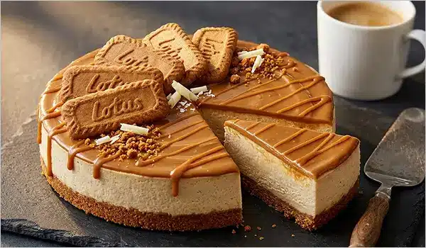 recette de cheesecake spéculoos rapide